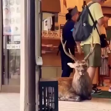 Those loiterers I tell ya