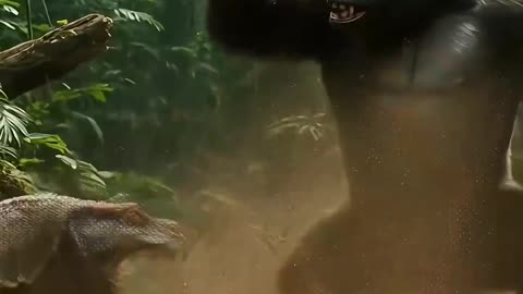 Gorilla Takes On a Giant Komodo Dragon!