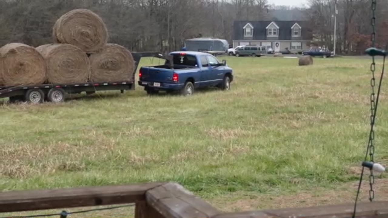 Hay Round Bails Get Harvested. Why do they do it that way? Some other fun facts.