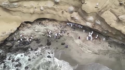 Peru declares environmental emergency after oil spill