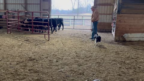 Ellie-Mae, 1/6/2026-2