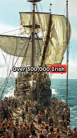 Hidden From Whitey...