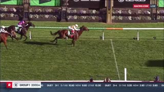 2025 Turnbull Stakes | Via Sistina, Aeliana, Sir Delius