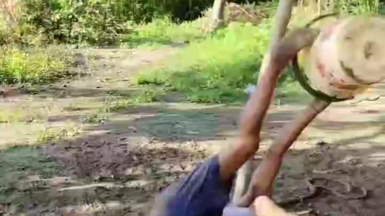 Funny video funny moments ðŸ˜ðŸ˜…😂🤣