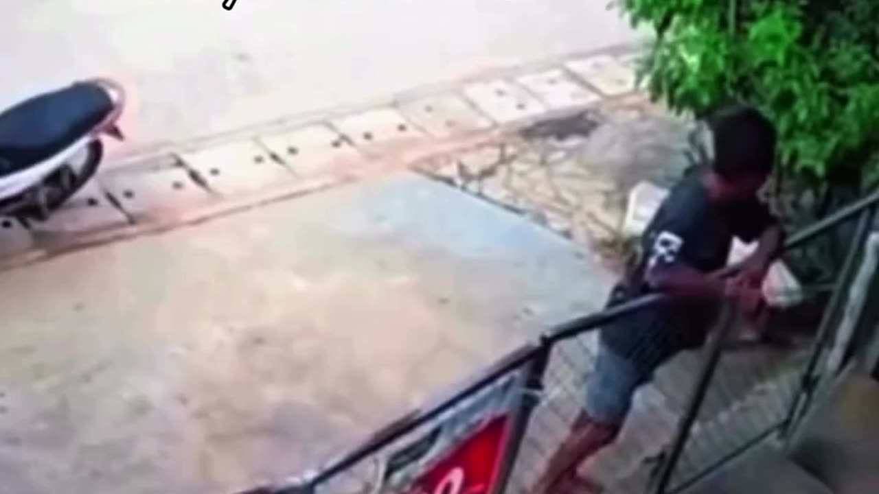 😂🐶 Late for the Shift, But the Dog's Got a Plan! | FunFM