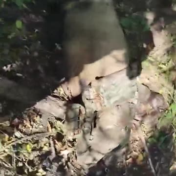 Ukraine war combat footage 10/7/25