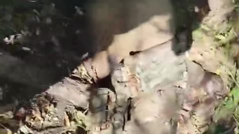 Ukraine war combat footage 10/7/25