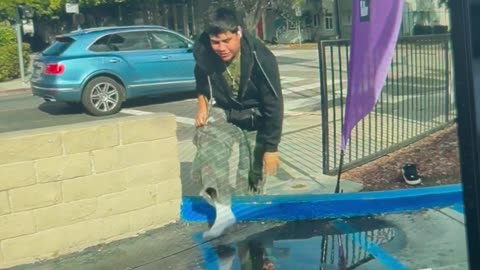 Unexpected Slip Caught on Dashcam