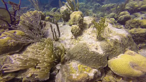 Destination Dive Episode 2