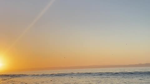 Thrown Flip-Flop Hits Stranger's Head