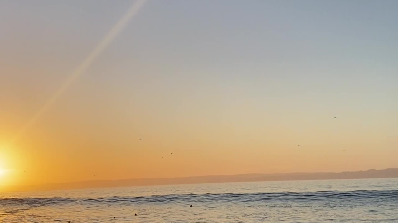 Thrown Flip-Flop Hits Stranger's Head