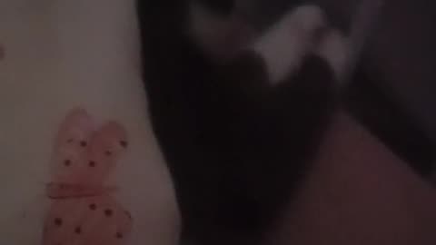 😨👻 The Scariest Plea For Help Ever Recorded! | TheHauntingHour