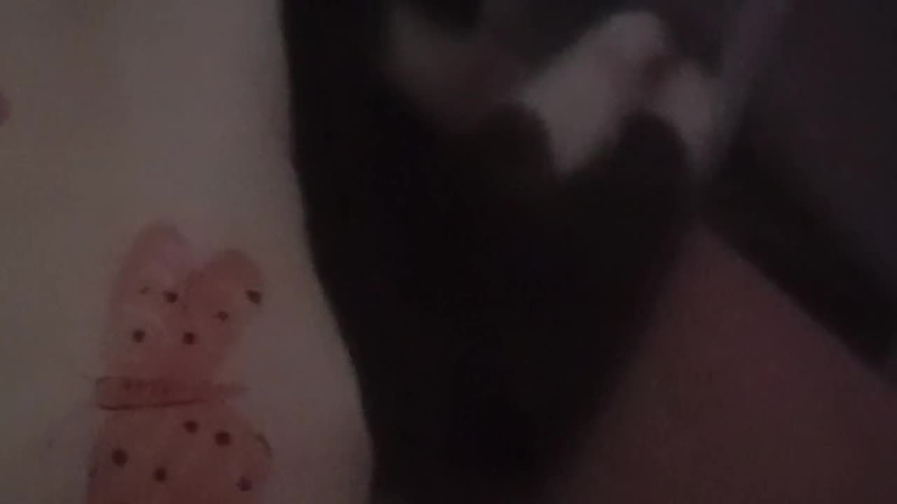 😨👻 The Scariest Plea For Help Ever Recorded! | TheHauntingHour