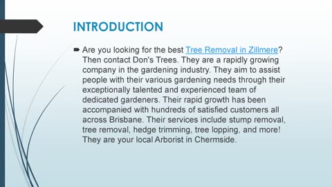 Best Tree Removal in Zillmere