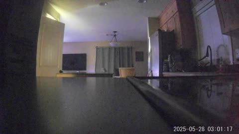 👻💀 You Won't Believe What Happened in This House! My Uncle or Something Else? Ghosts | TheHauntingHo