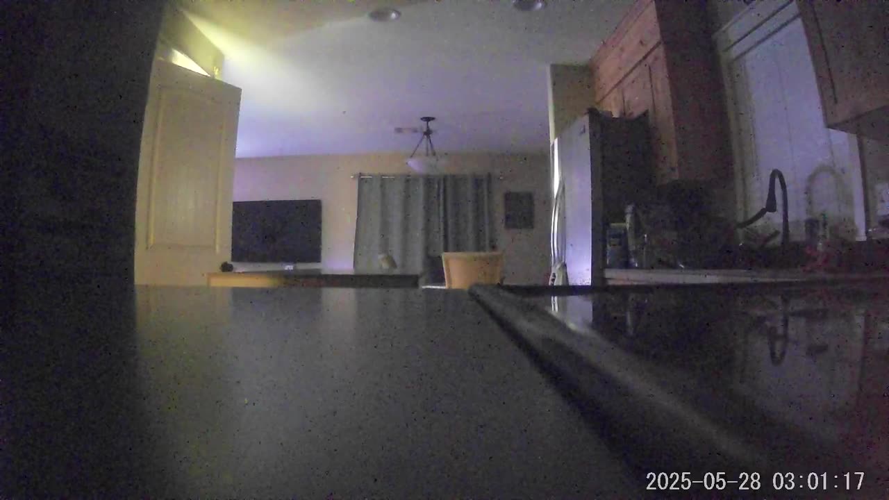 👻💀 You Won't Believe What Happened in This House! My Uncle or Something Else? Ghosts | TheHauntingHo