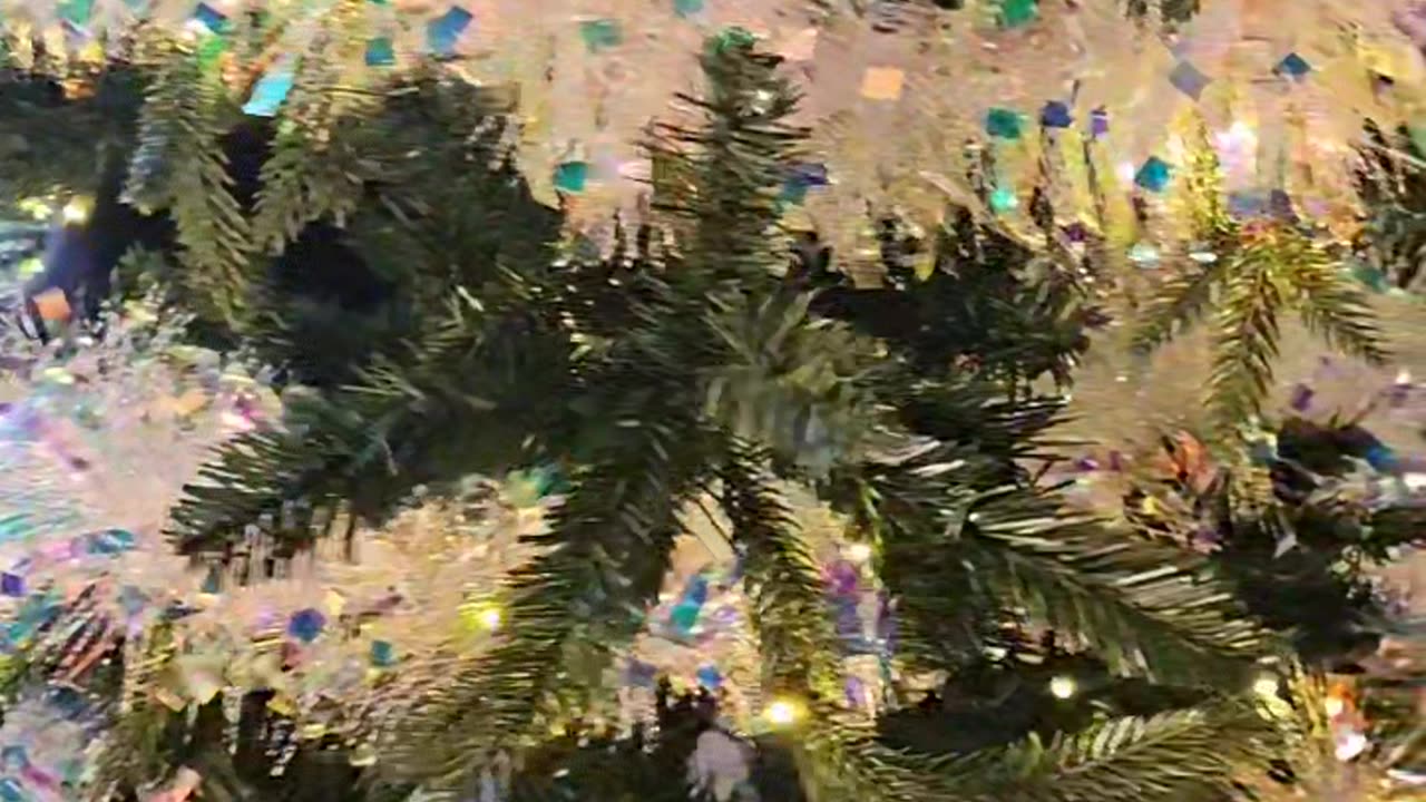 Cat Busted Chewing The Christmas Tree