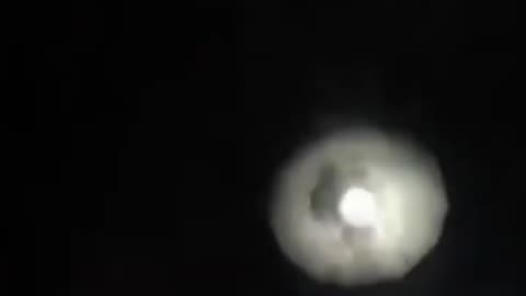 Ugh Fine, I guess you are my little pogchamp, come here