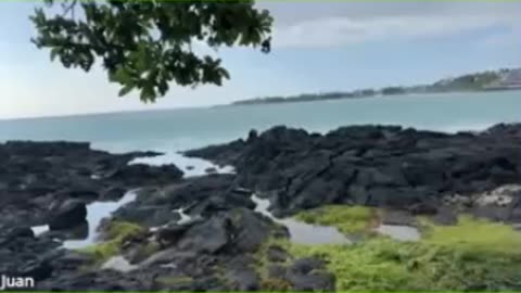 JUAN O SAVIN- We Pray Without Ceasing for Tina Peters - Michael Jaco 11 30 2025