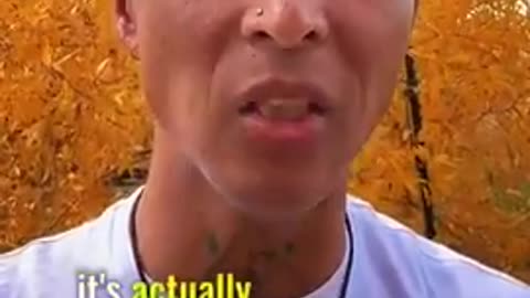 TRAUMA DOESN’T WANT TO BE FIXED