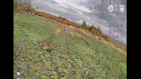 🎯🛸 Ukraine Russia War | Ukrainian FPV Drones Strike Russian Soldiers in Donetsk | RCF