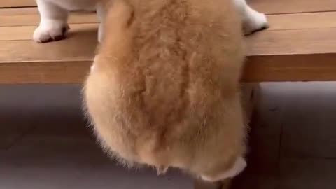 First Step Is The Hardest