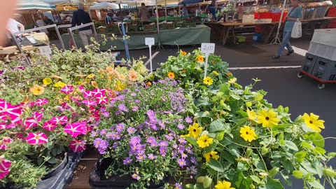 Beautiful Flowers Market in Graz (Austria)