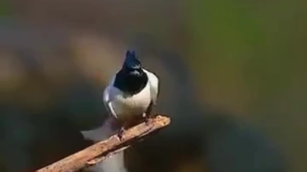 😍Good Morning Everyone Cheer up