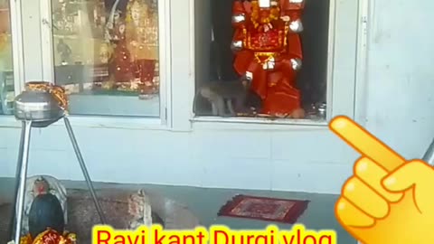 india vlog today My #vlog