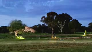 Beautiful Nights at Jaya
