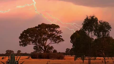 Snapshot of Lightning ⚡️ Last Month at Jaya