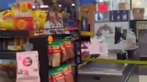 North Carolina Shuts Down Over Ice Raids: 'Look at all these people. Yeah, that's the point'.