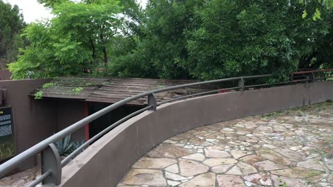 Chihuahuan Desert Museum 9 (Saltillo, Coahuila, Mexico)