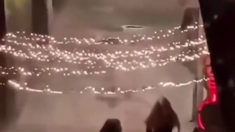 Hear their screams 😡 This is what it's like for Women all over Europe now