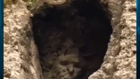 😱👻 Creepy Rake Entity Spotted on Camera! | TheHauntingHour