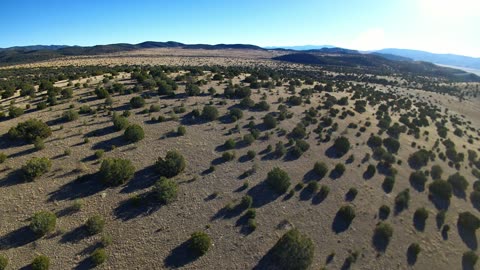 Mario 5 - The Whole Place