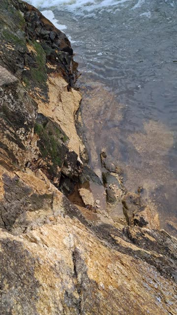 TAR RIVER DAM NORTH CAROLINA