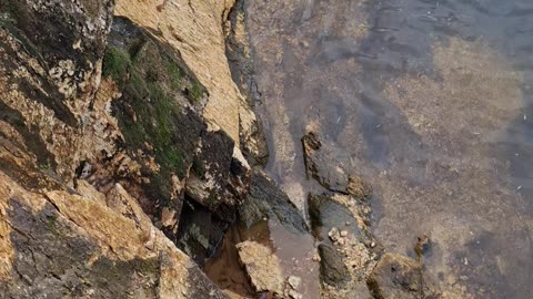 TAR RIVER DAM NORTH CAROLINA