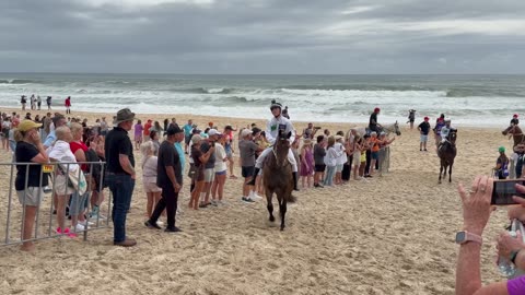 HORSES ON THE BEACH! Magic Millions 2026 Broadbeach Sprints & Barrier Draw Highlights