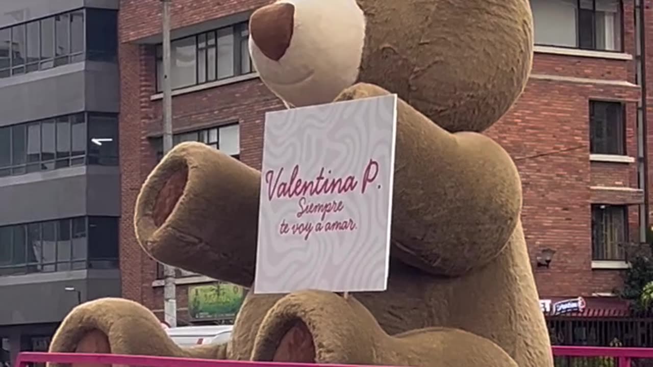 Giant Bear With Valentine's Message