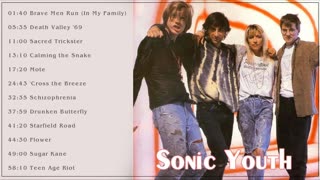Sonic Youth Greatest Hits
