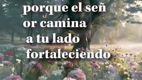 ORACIONES 😇 😶‍🌫️ 🤍 💜 🩷 ❤️ 😇 😶‍🌫️ 🤍 💜