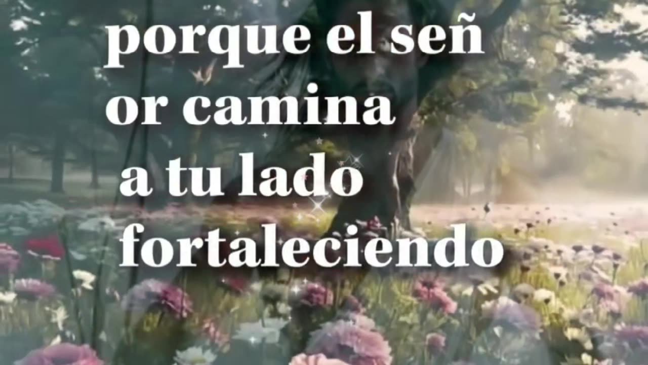 ORACIONES 😇 😶🌫️ 🤍 💜 🩷 ❤️ 😇 😶🌫️ 🤍 💜