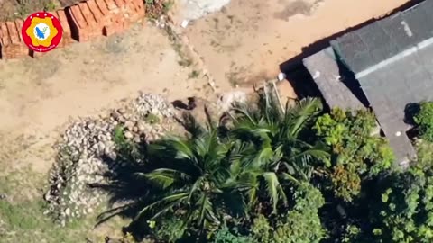 💥🛡️ Myanmar War | Joint Forces Clash with Junta in Dawei | RCF