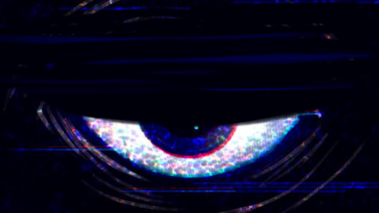 Poppy Playtime Asset Chapter 4 - Do you hear it? (Doctor video)