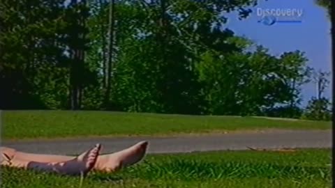 DETEKTYWI SĄDOWI 3 dokument pl