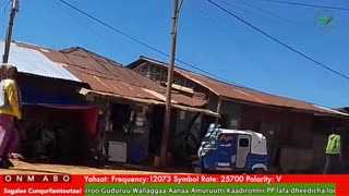 Oduu Galgala ONM-ABO Onkoloolessa 29-2025 itti dhiyaadhaa!