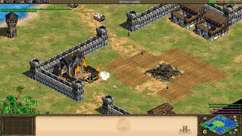 PC Longplay - Age of Empires II HD Edition - WW - 14-50