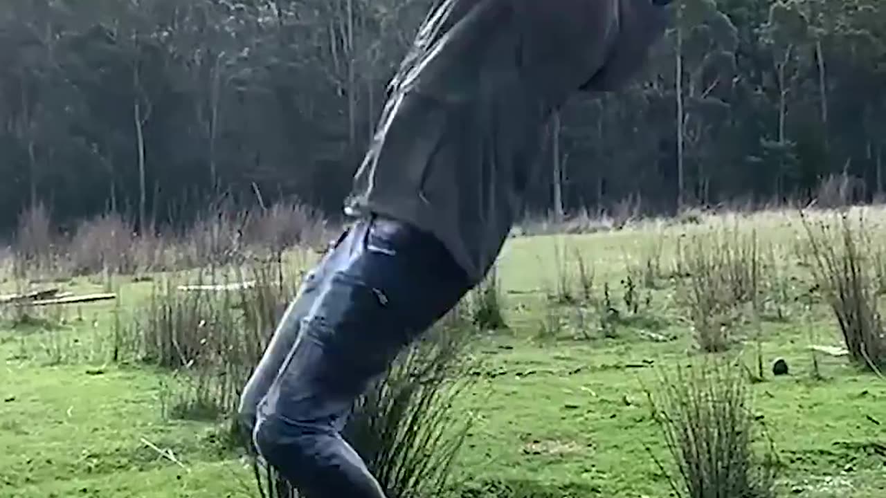 Real Life vs AI. part 5