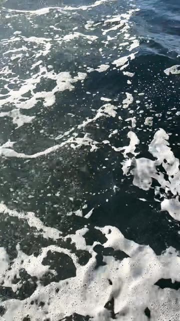 Whale Feeding in Harbor Ketchikan Alaska
